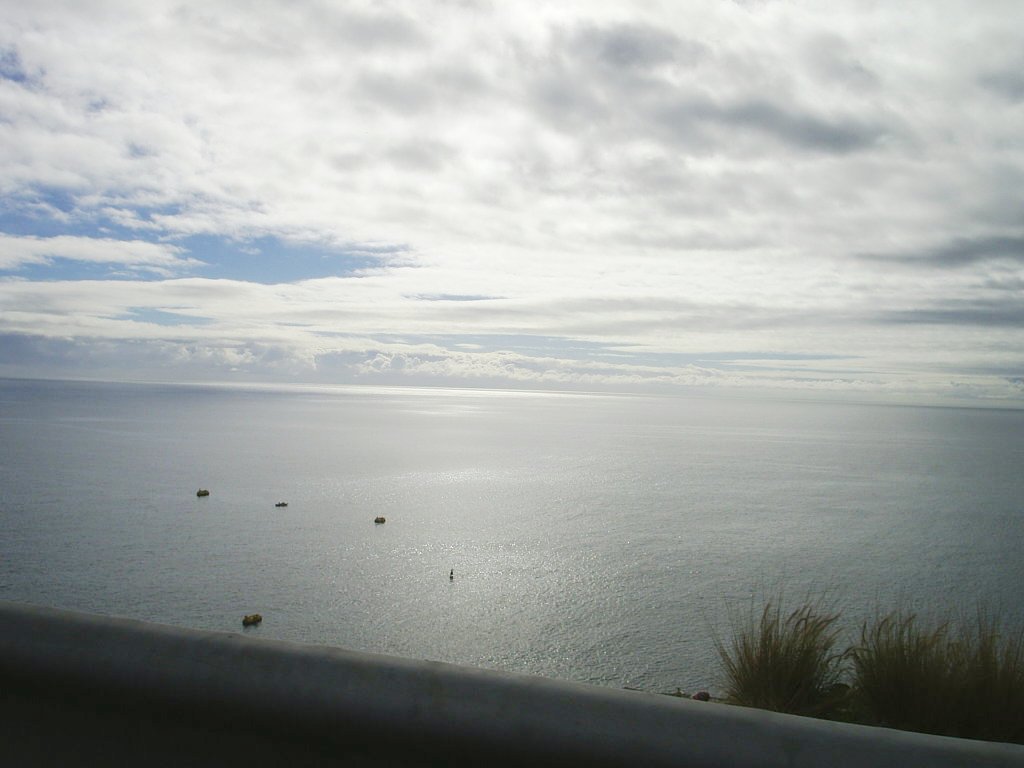 Foto de Santa Cruz de Tenerife (Canarias), España
