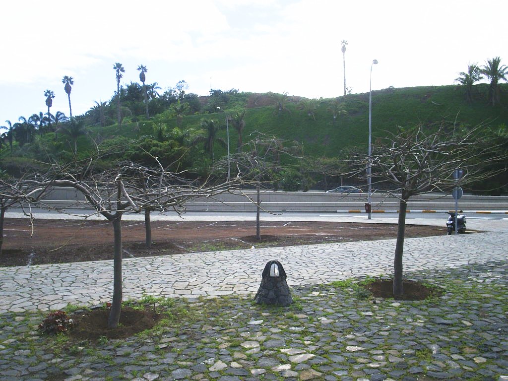 Foto de Santa Cruz de Tenerife (Canarias), España