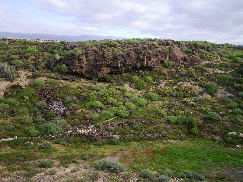 Foto de Granadilla de Abona (Santa Cruz de Tenerife), España