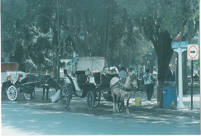 Foto de viña del mar, Chile