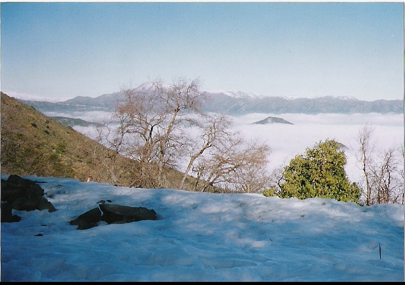 Foto de OLMUE, Chile