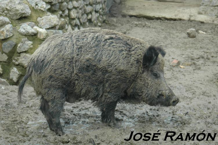 Foto de Jerez  de la Frontera (Cádiz), España
