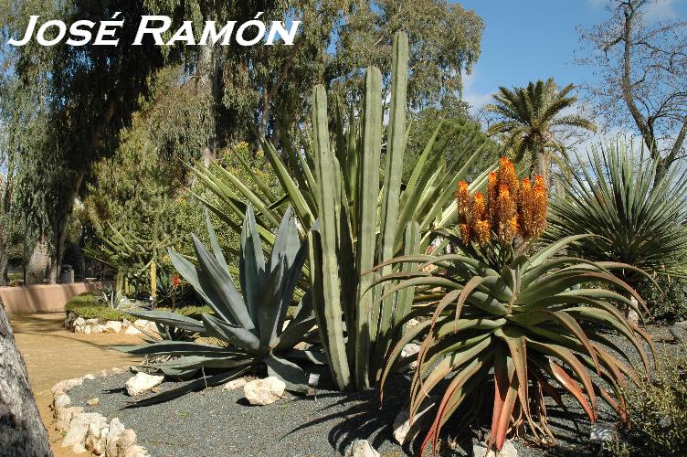 Foto de Jerez  de la Frontera (Cádiz), España