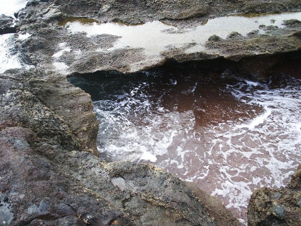 Foto de El Médano-Tenerife (Santa Cruz de Tenerife), España