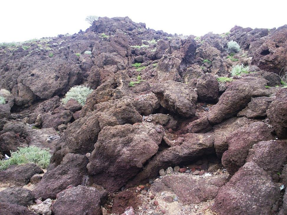Foto de El Médano-Tenerife (Santa Cruz de Tenerife), España
