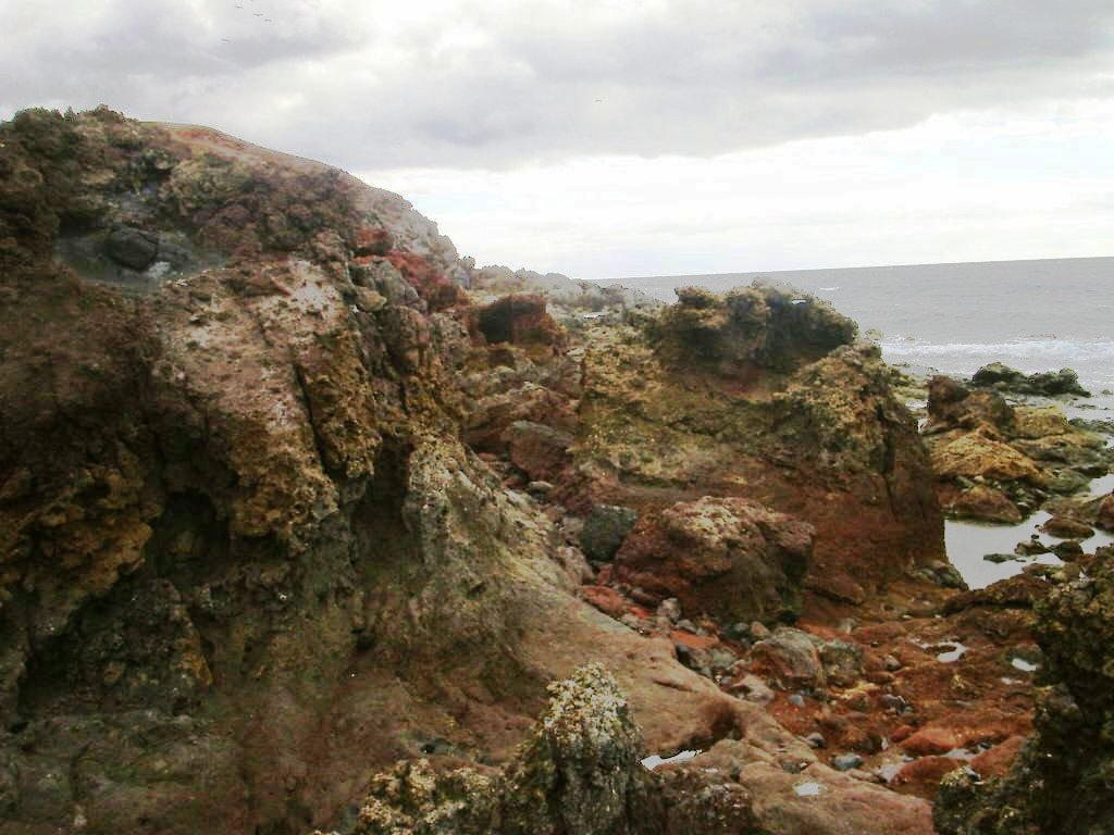 Foto de El Médano-Tenerife (Santa Cruz de Tenerife), España
