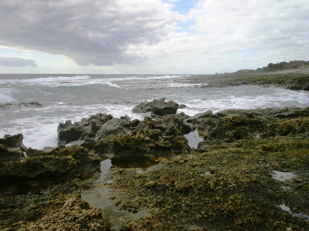 Foto de El Médano-Tenerife (Santa Cruz de Tenerife), España