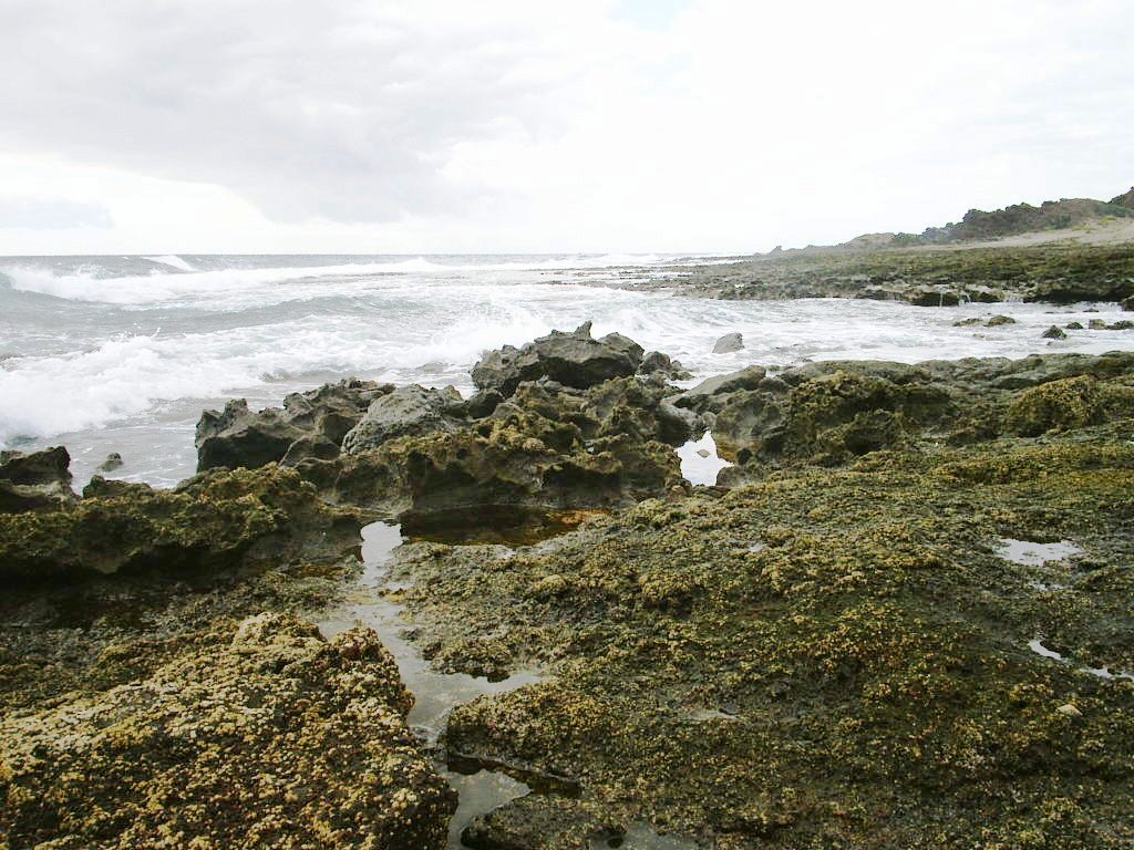 Foto de El Médano-Tenerife (Santa Cruz de Tenerife), España