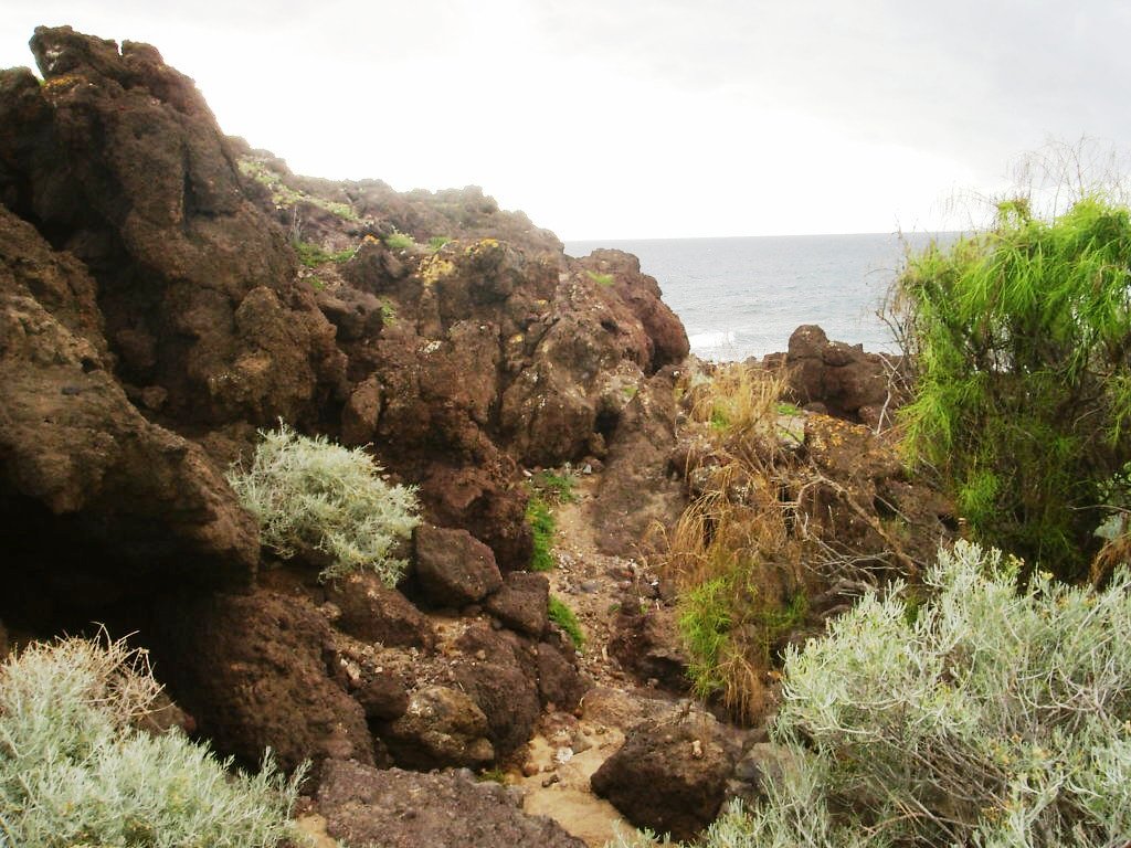 Foto de El Médano-Tenerife (Santa Cruz de Tenerife), España