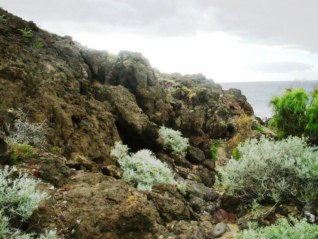 Foto de El Médano-Tenerife (Santa Cruz de Tenerife), España
