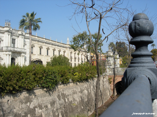 Foto de Sevilla (Andalucía), España