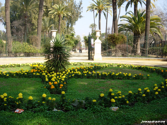 Foto de Sevilla (Andalucía), España