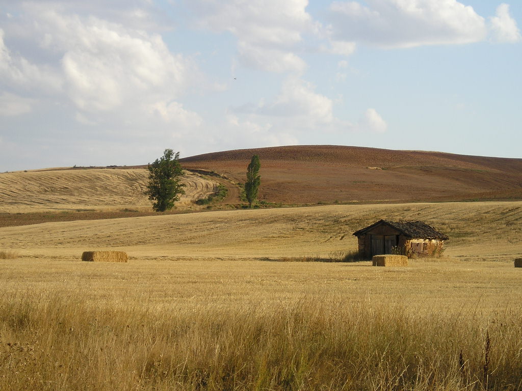 Foto de Riosmenudos de la Peña (Palencia), España