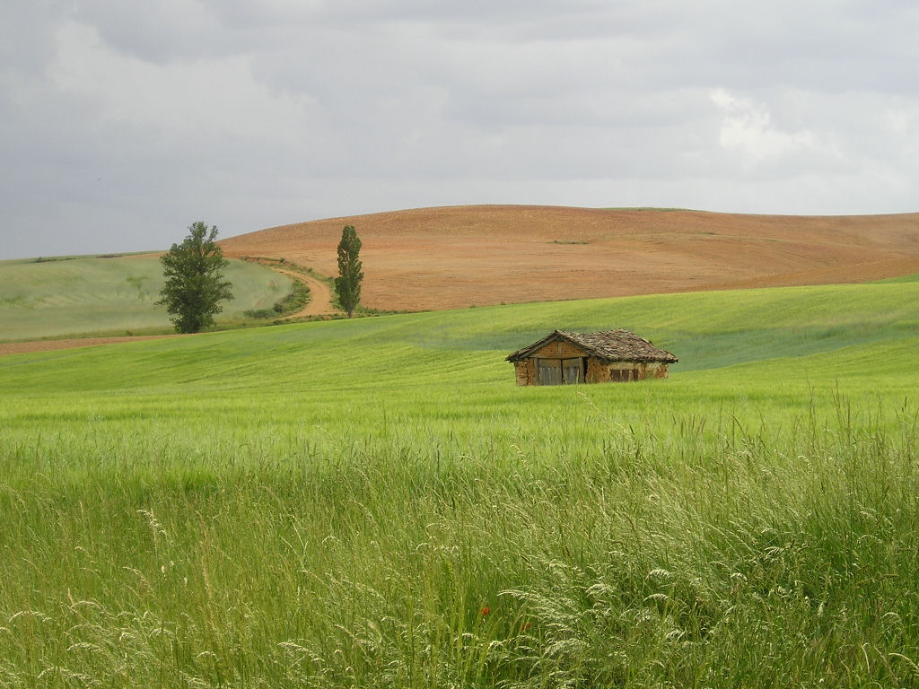 Foto de Riosmenudos de la Peña (Palencia), España