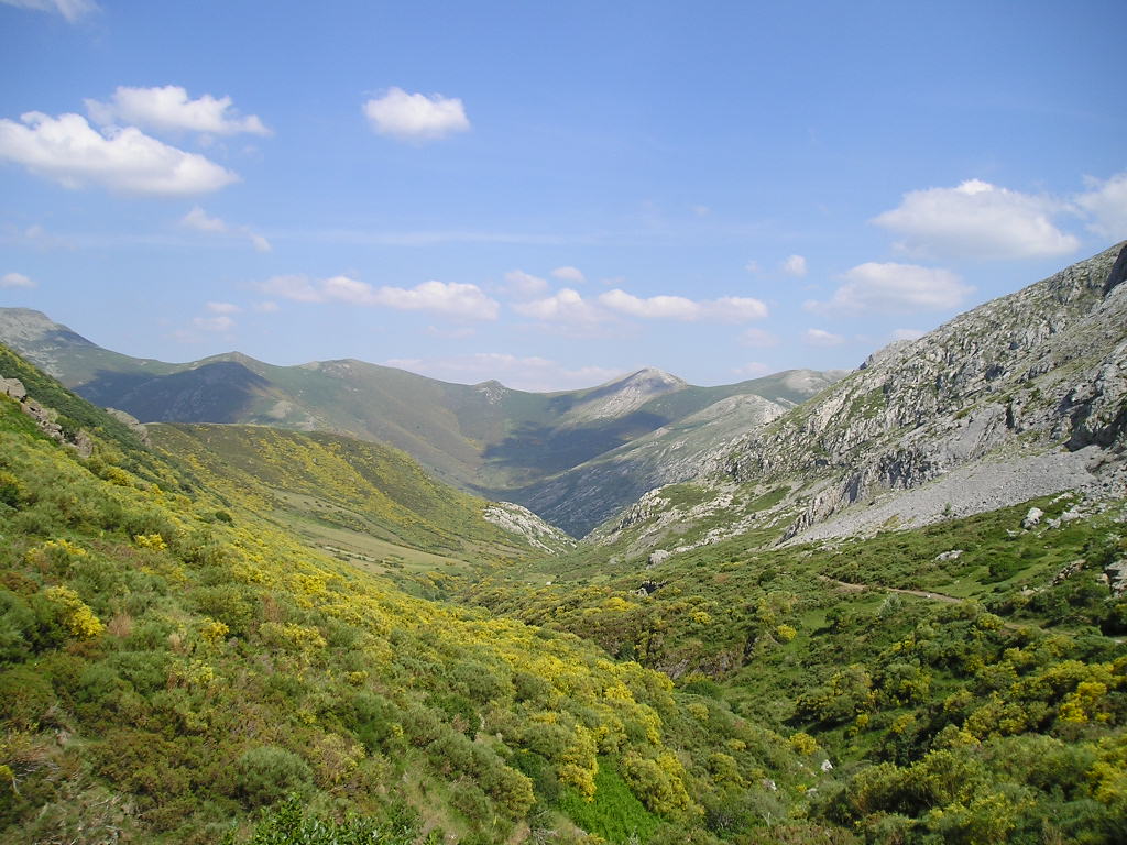 Foto de Cardaño de Arriba (Palencia), España