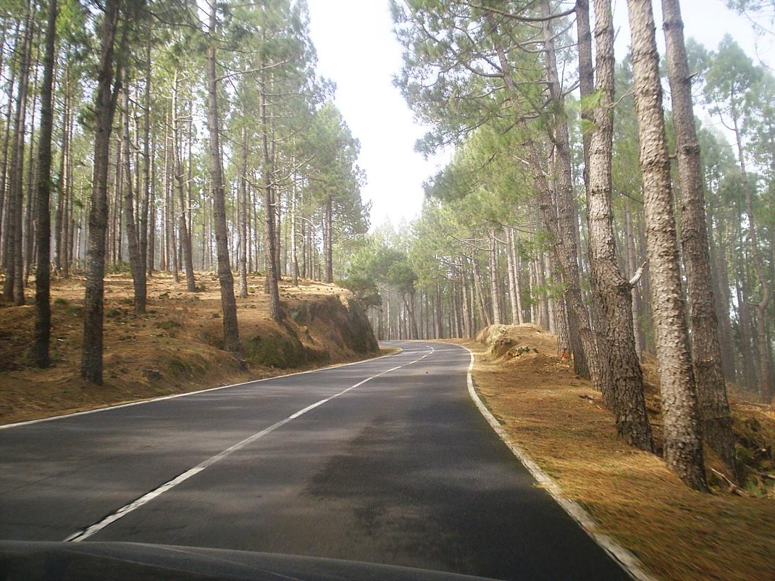 Foto de Tenerife (Santa Cruz de Tenerife), España