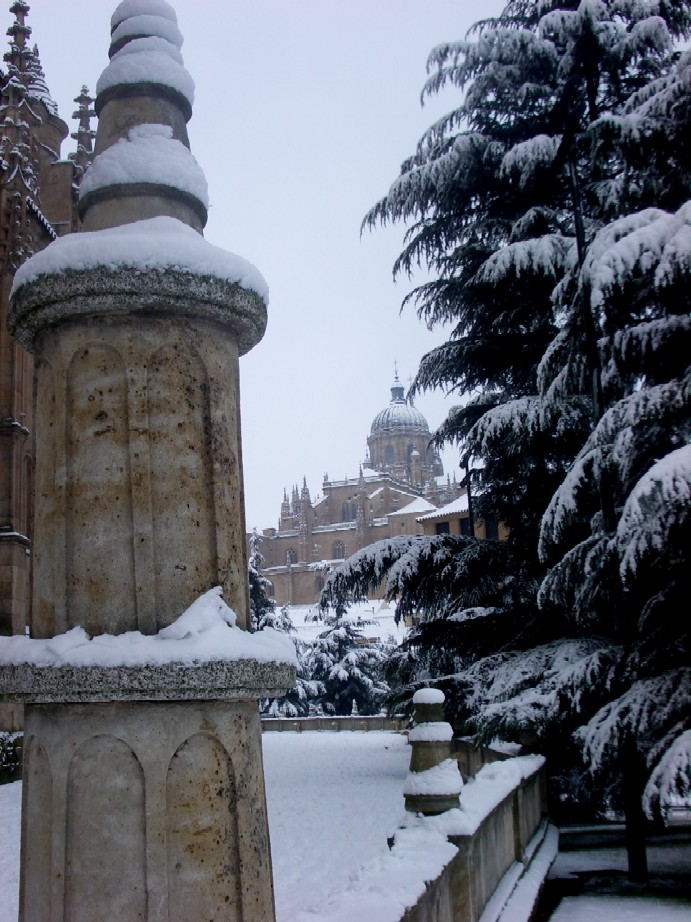 Foto de Salamanca (Castilla y León), España