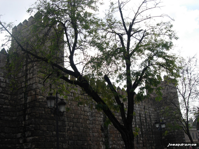 Foto de Sevilla (Andalucía), España