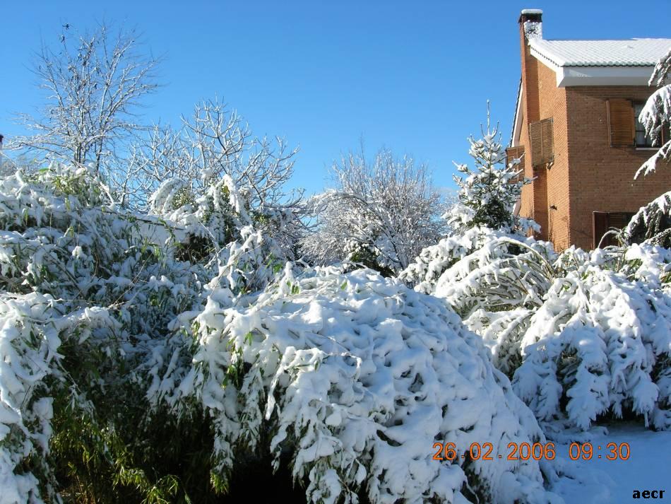 Foto de Pozuelo de Alarcón (Madrid), España