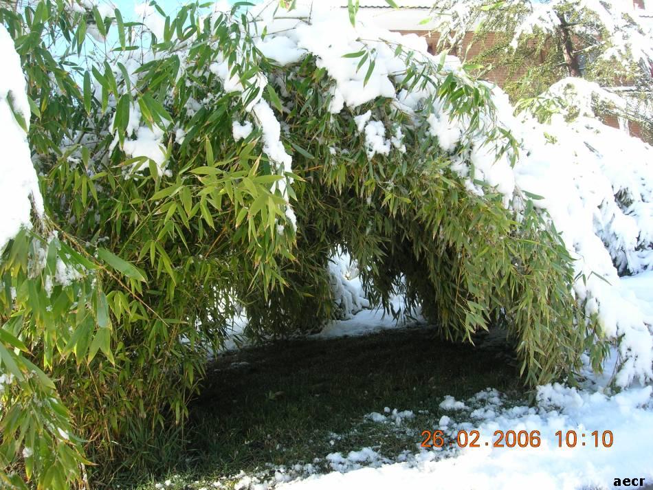 Foto de Pozuelo de Alarcón (Madrid), España