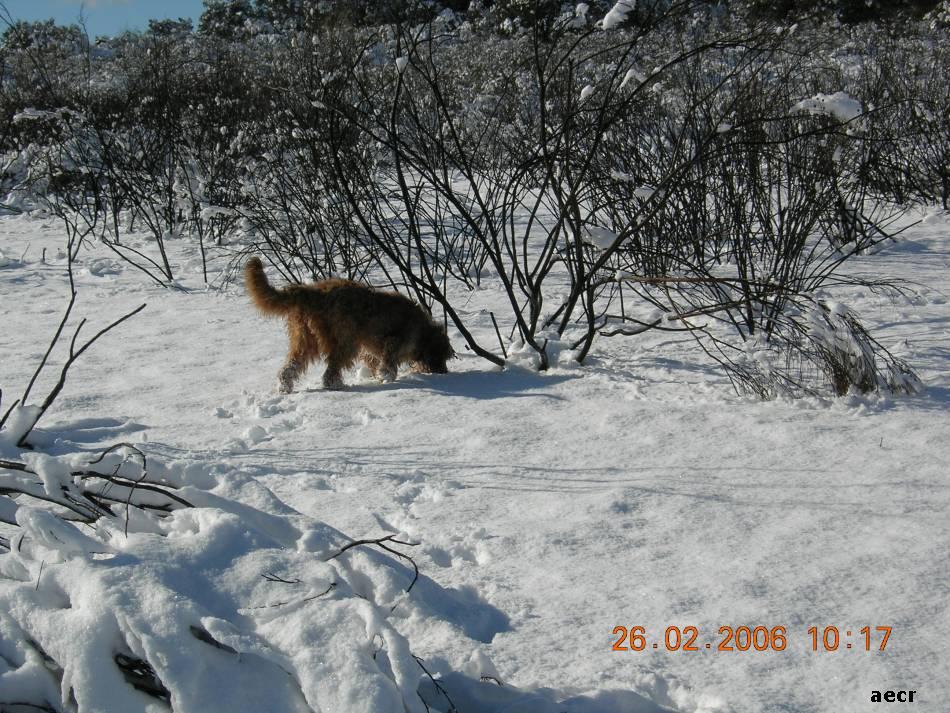 Foto de Pozuelo de Alarcón (Madrid), España