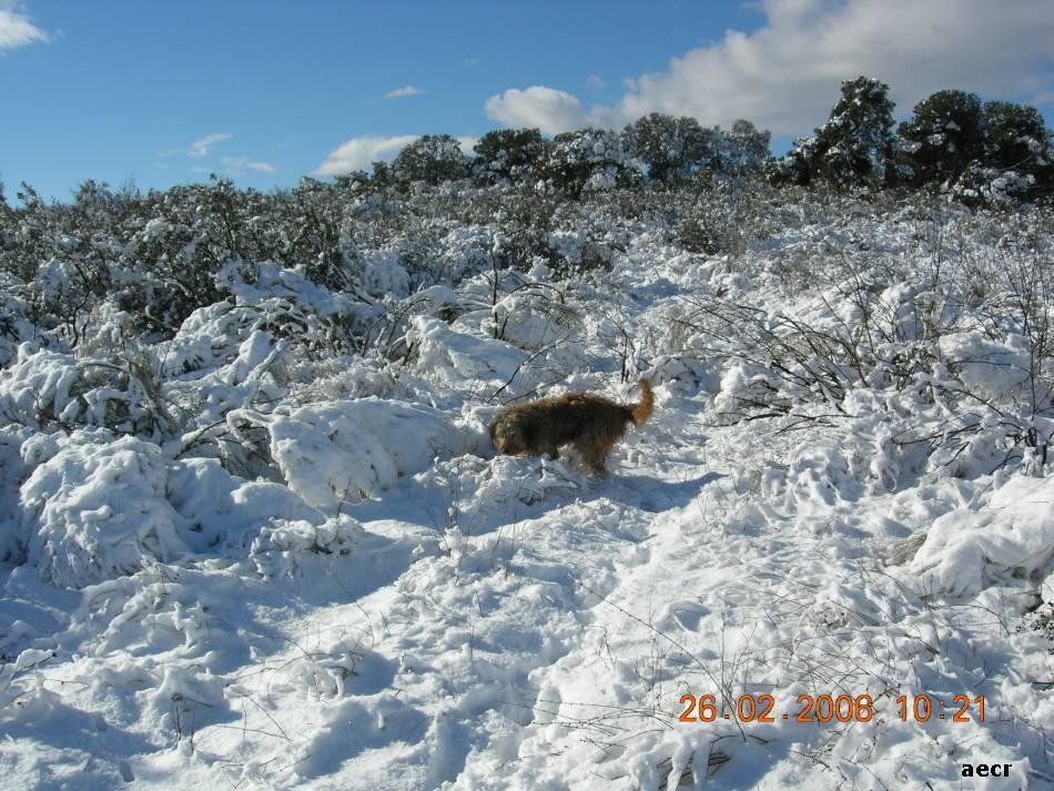 Foto de Pozuelo de Alarcón (Madrid), España