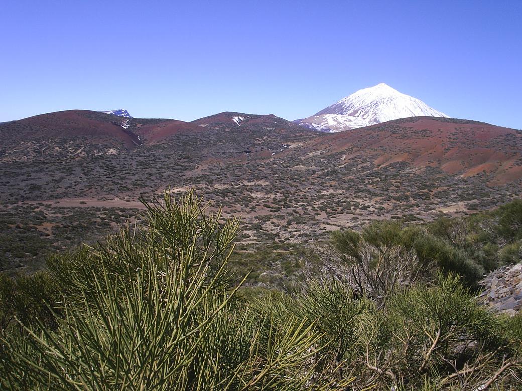 Foto de Tenerife (Santa Cruz de Tenerife), España