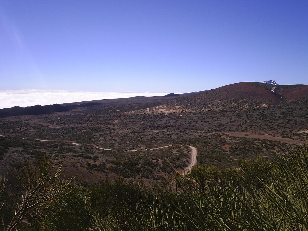 Foto de Tenerife (Santa Cruz de Tenerife), España