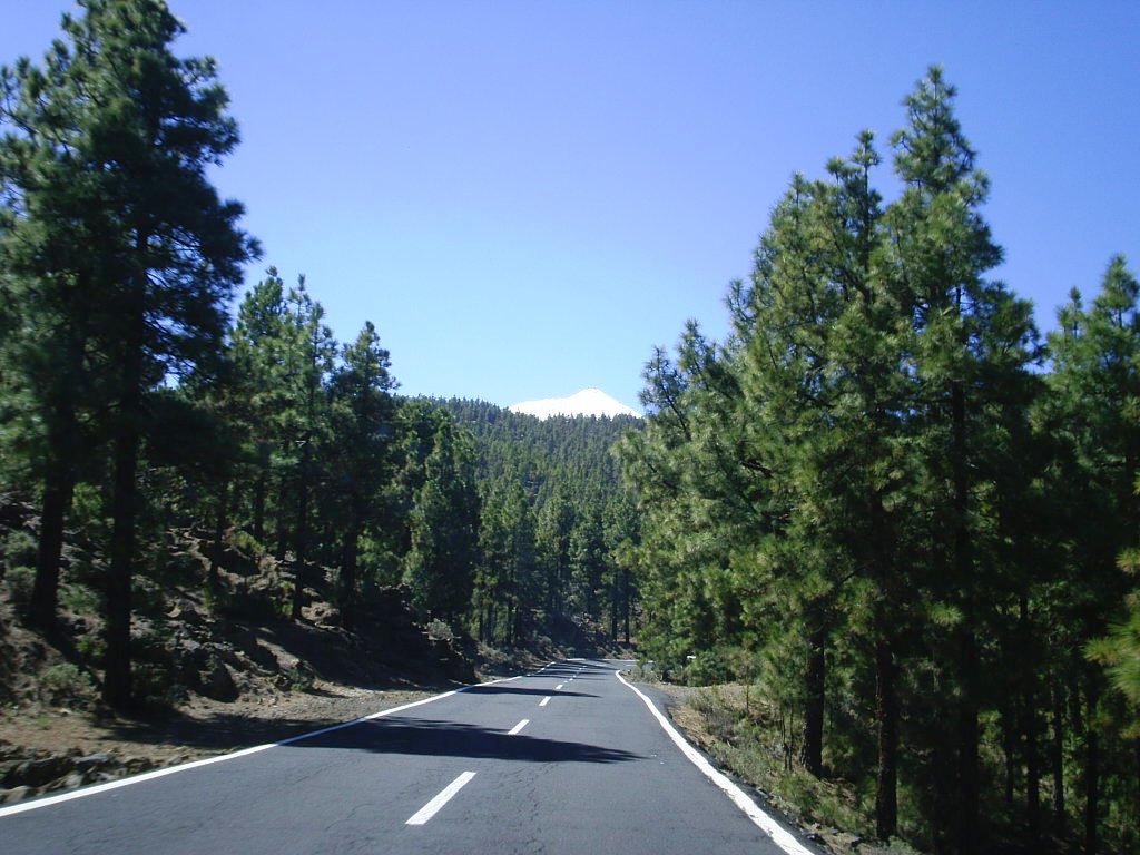 Foto de Tenerife (Santa Cruz de Tenerife), España