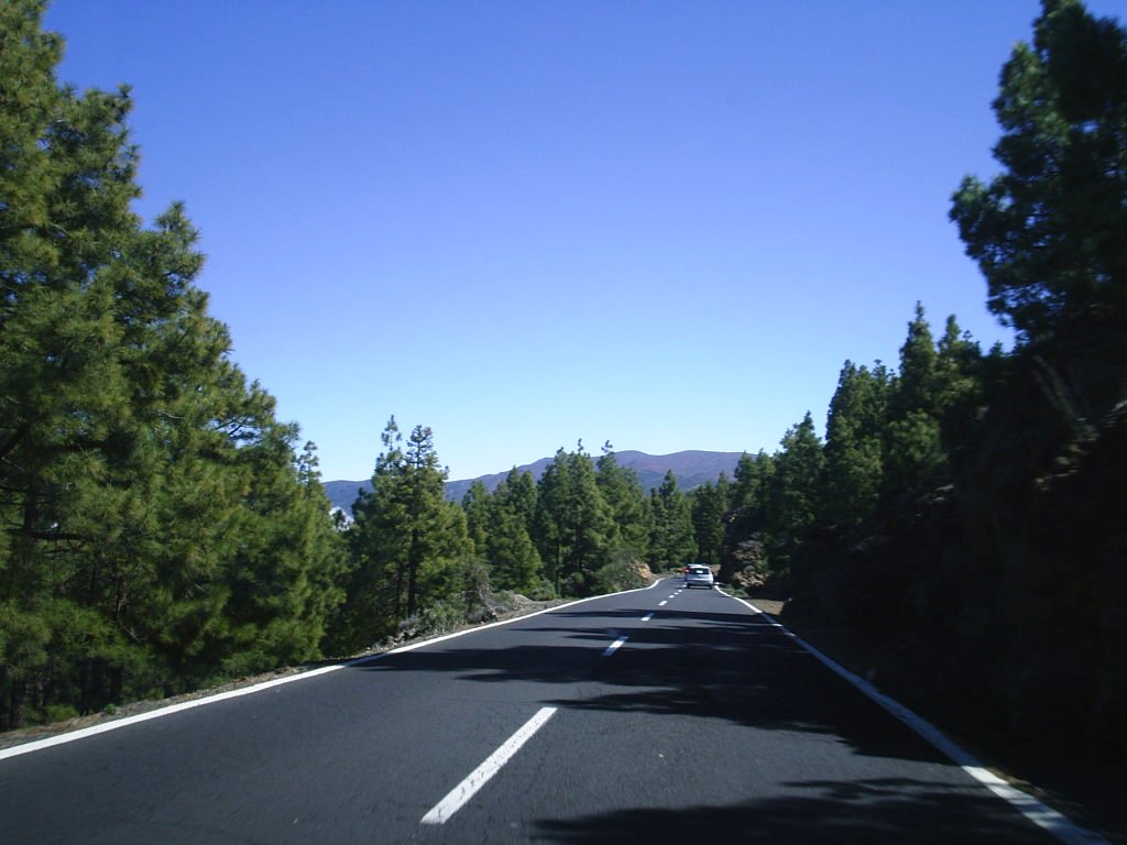 Foto de Tenerife (Santa Cruz de Tenerife), España