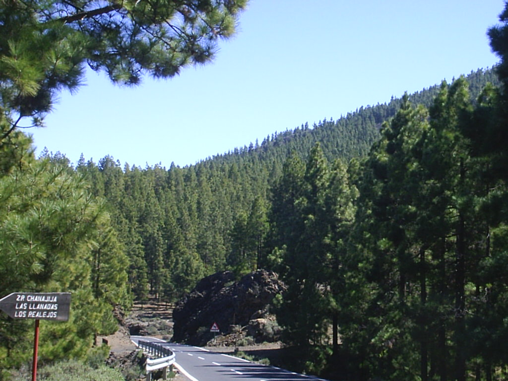 Foto de Tenerife (Santa Cruz de Tenerife), España