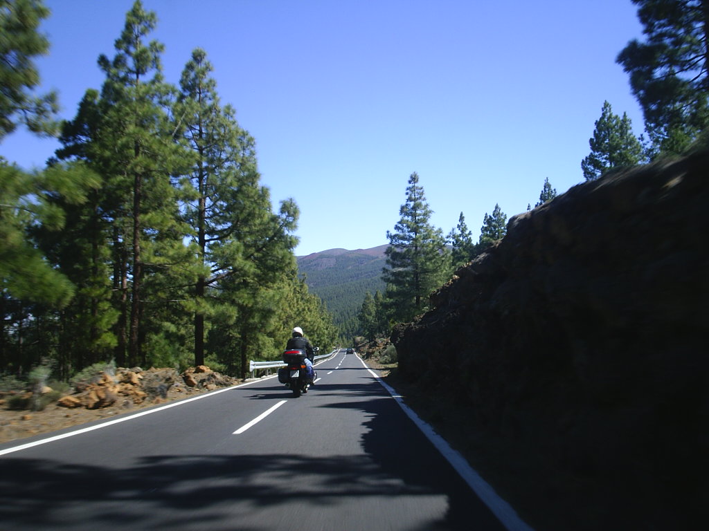 Foto de Tenerife (Santa Cruz de Tenerife), España