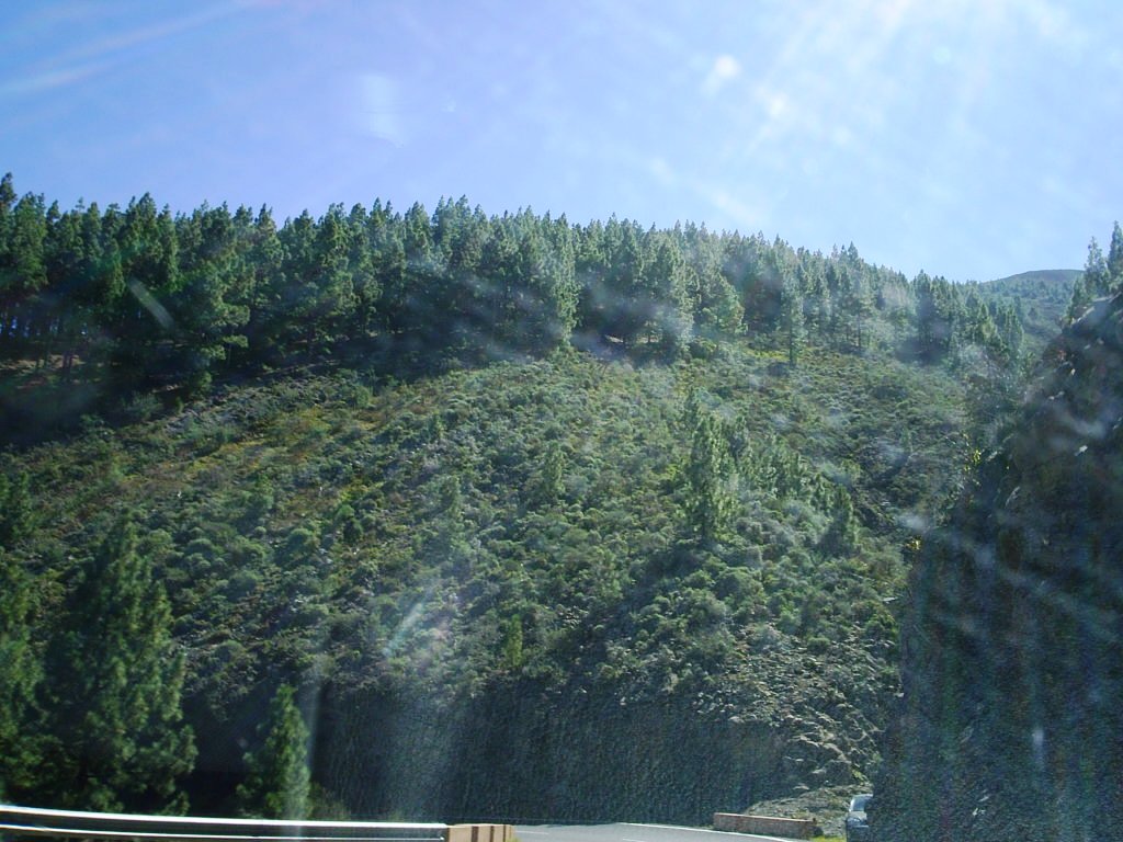 Foto de Tenerife (Santa Cruz de Tenerife), España