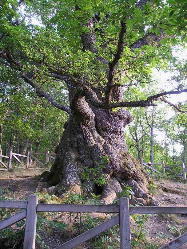 Foto de Estalaya (Palencia), España