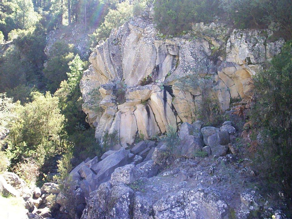 Foto de Tenerife (Santa Cruz de Tenerife), España