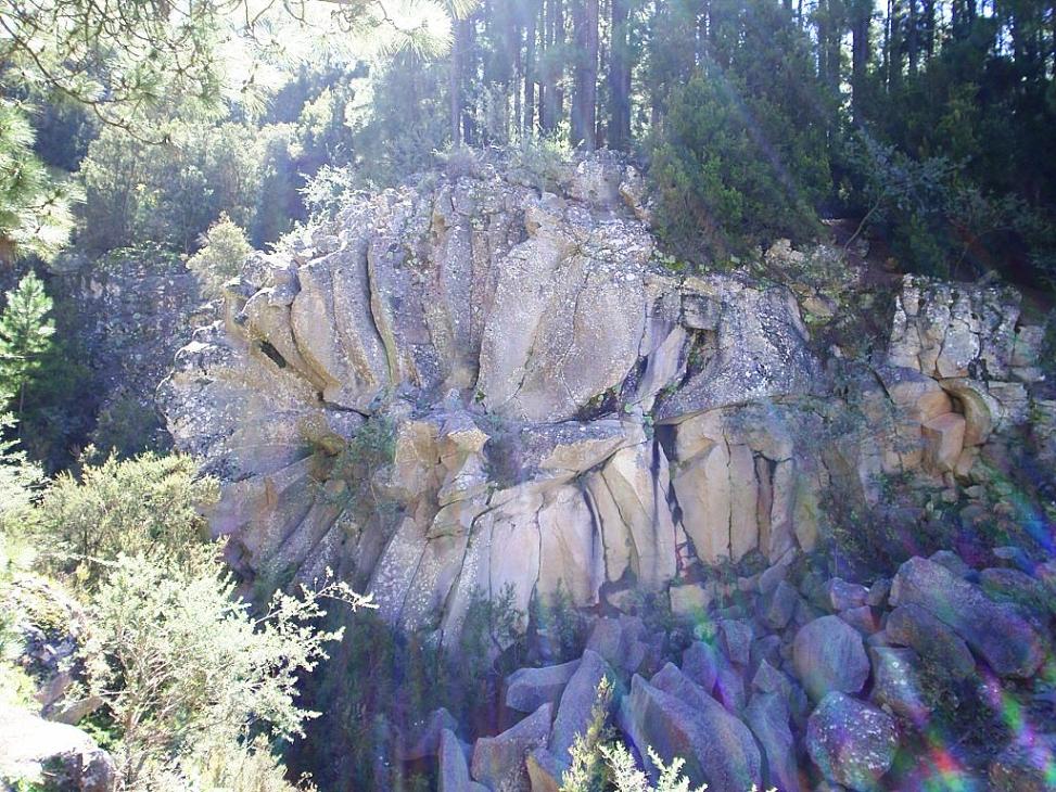 Foto de Tenerife (Santa Cruz de Tenerife), España