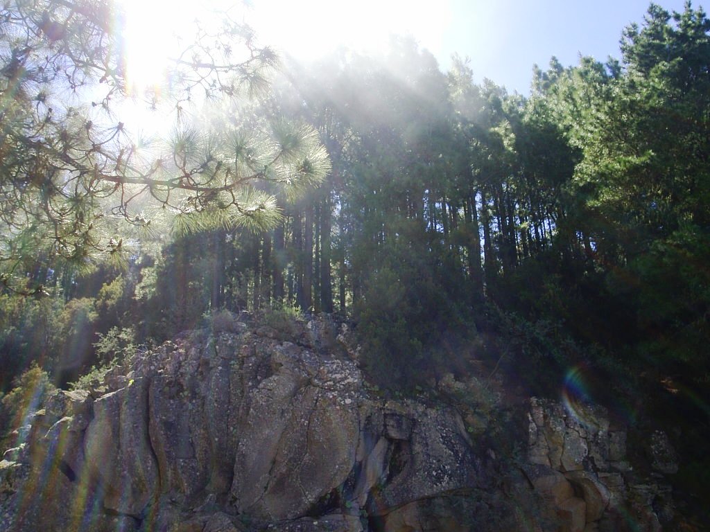 Foto de Tenerife (Santa Cruz de Tenerife), España