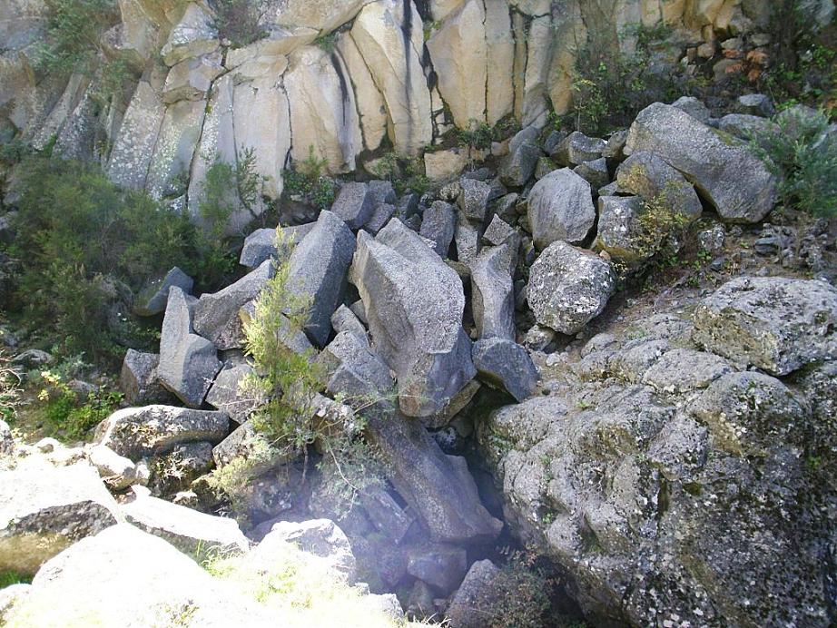 Foto de Tenerife (Santa Cruz de Tenerife), España