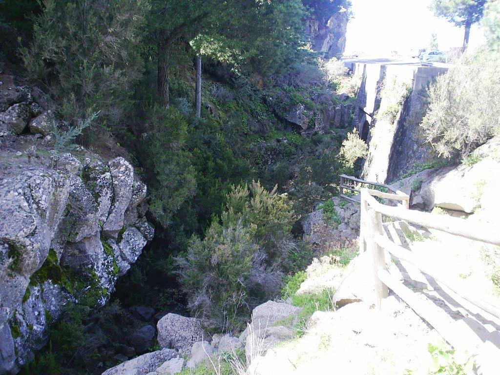 Foto de Tenerife (Santa Cruz de Tenerife), España
