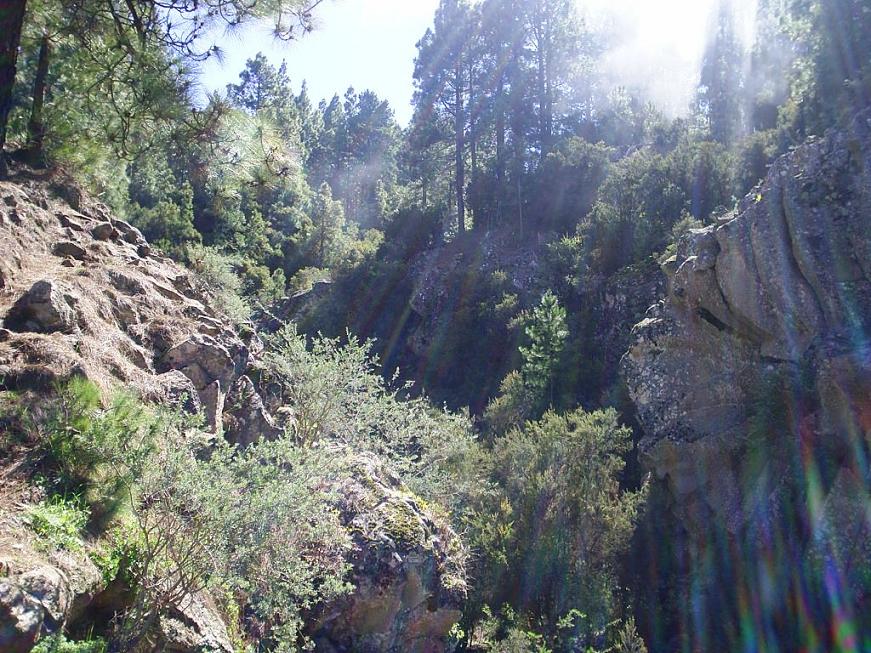 Foto de Tenerife (Santa Cruz de Tenerife), España