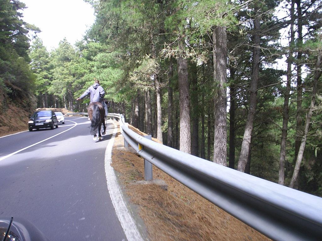 Foto de Tenerife (Santa Cruz de Tenerife), España