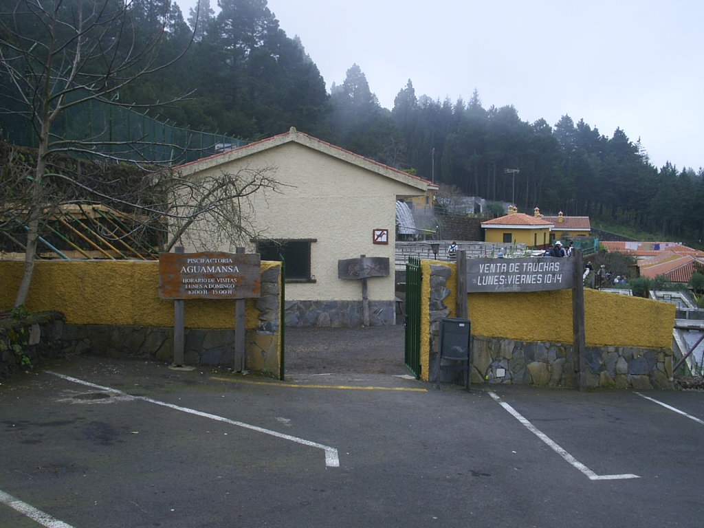 Foto de Tenerife (Santa Cruz de Tenerife), España