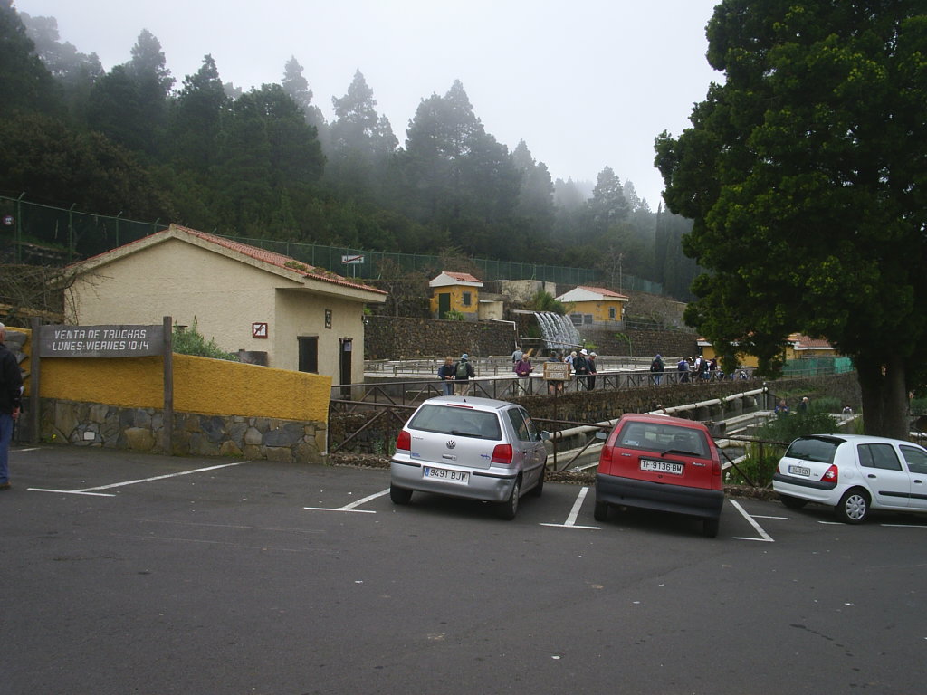 Foto de Tenerife (Santa Cruz de Tenerife), España