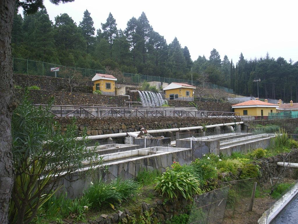 Foto de Tenerife (Santa Cruz de Tenerife), España