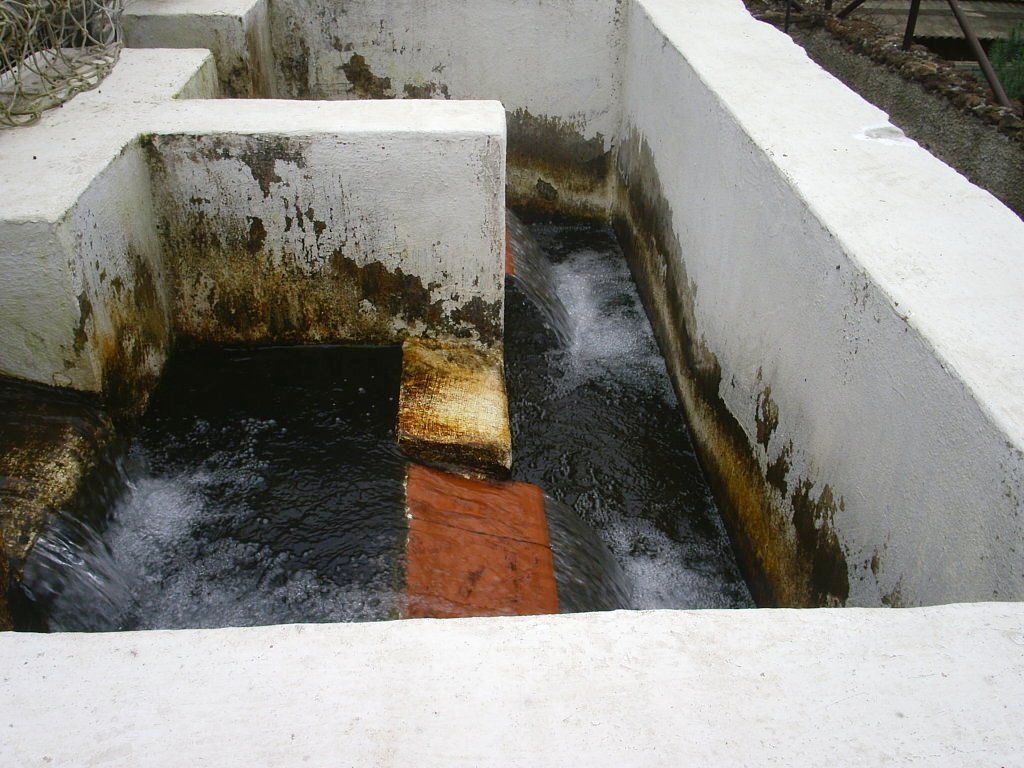 Foto de Tenerife (Santa Cruz de Tenerife), España