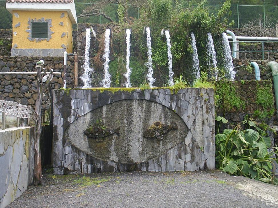 Foto de Tenerife (Santa Cruz de Tenerife), España