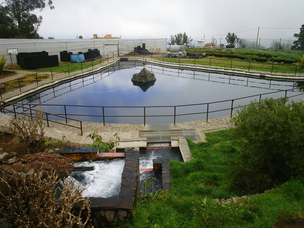 Foto de Tenerife (Santa Cruz de Tenerife), España