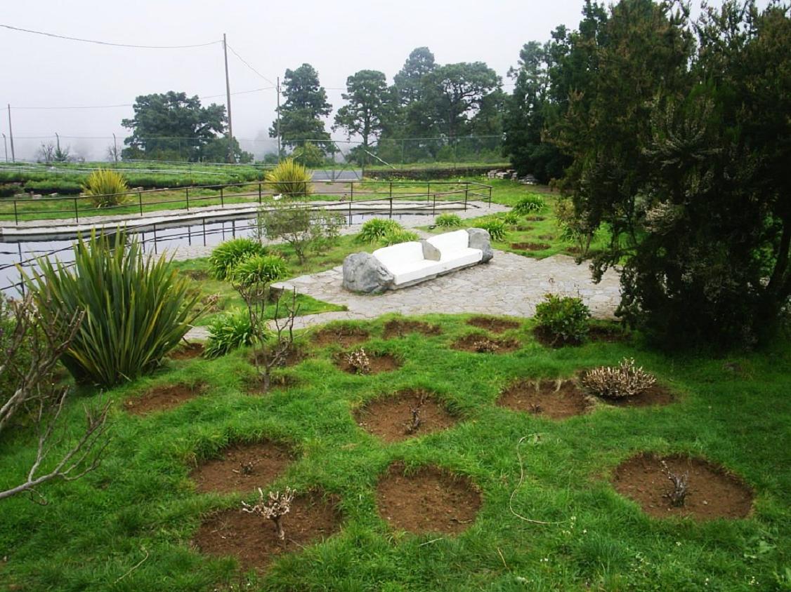 Foto de Tenerife (Santa Cruz de Tenerife), España