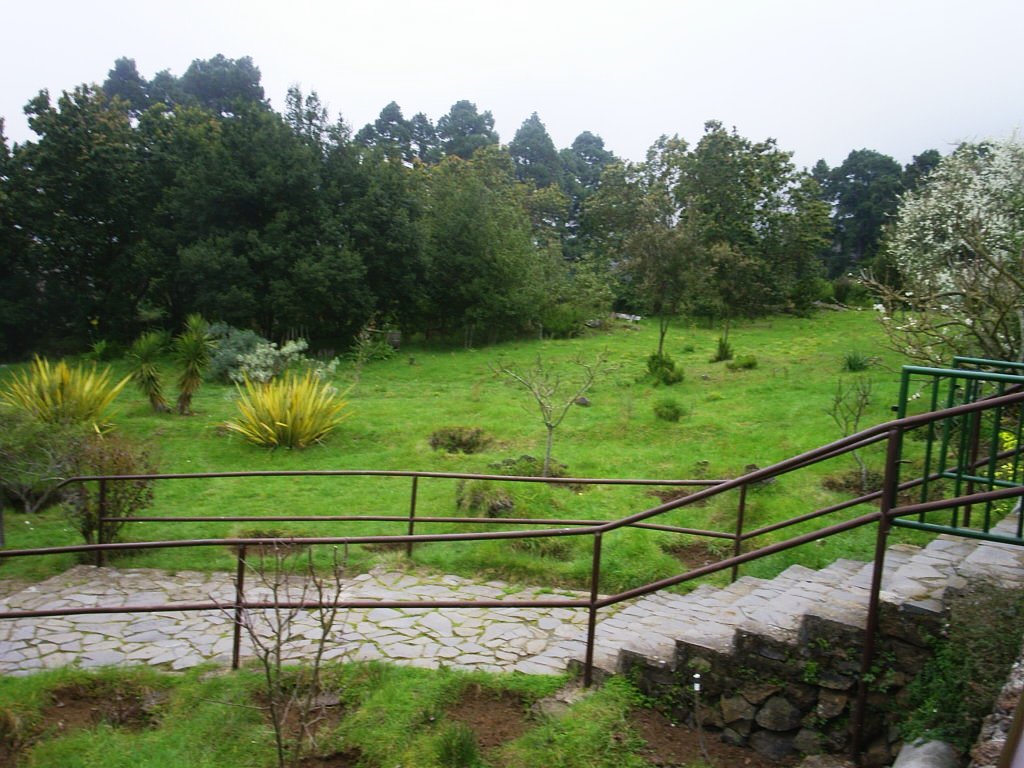 Foto de Tenerife (Santa Cruz de Tenerife), España