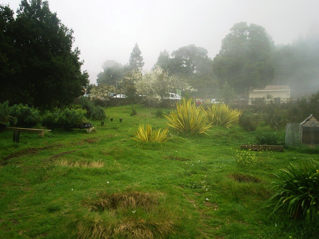 Foto de Tenerife (Santa Cruz de Tenerife), España